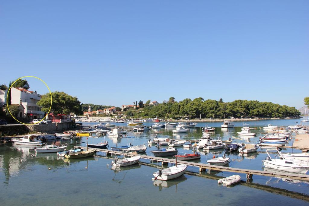 Vanda Seafront Superior Cavtat Extérieur photo